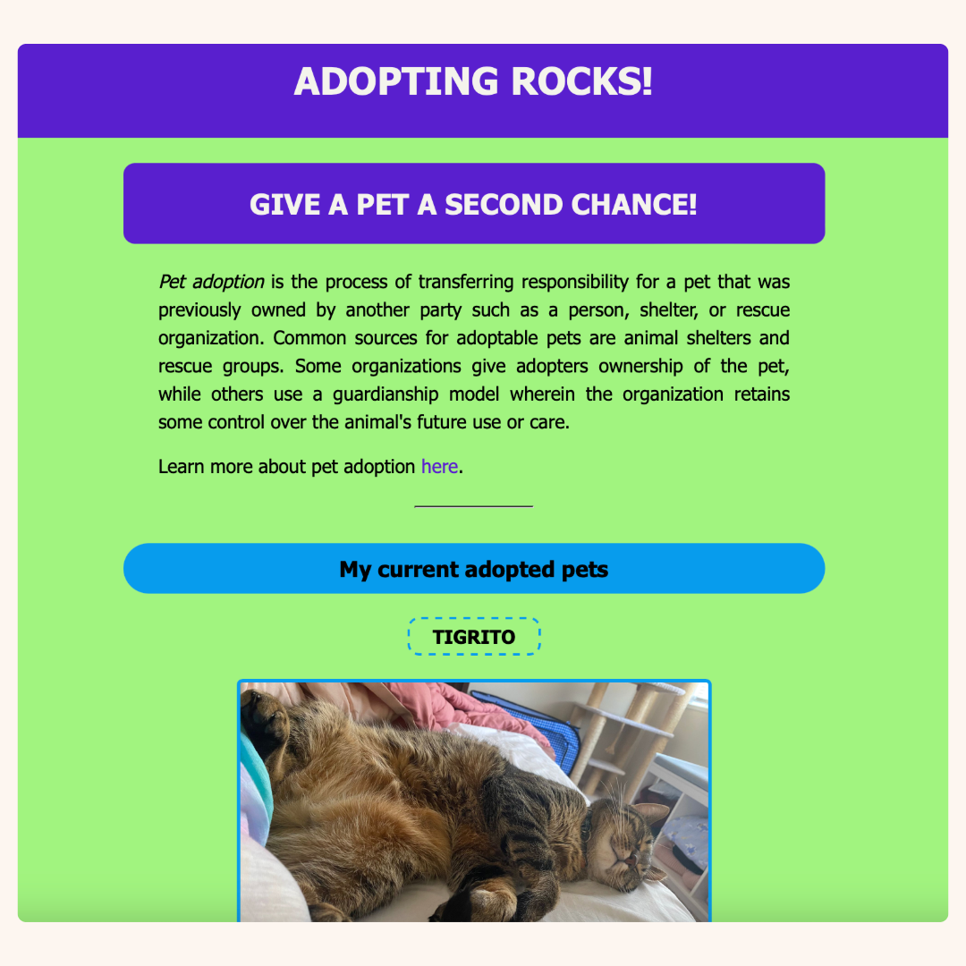 Screenshot from the Pet Adoption project
